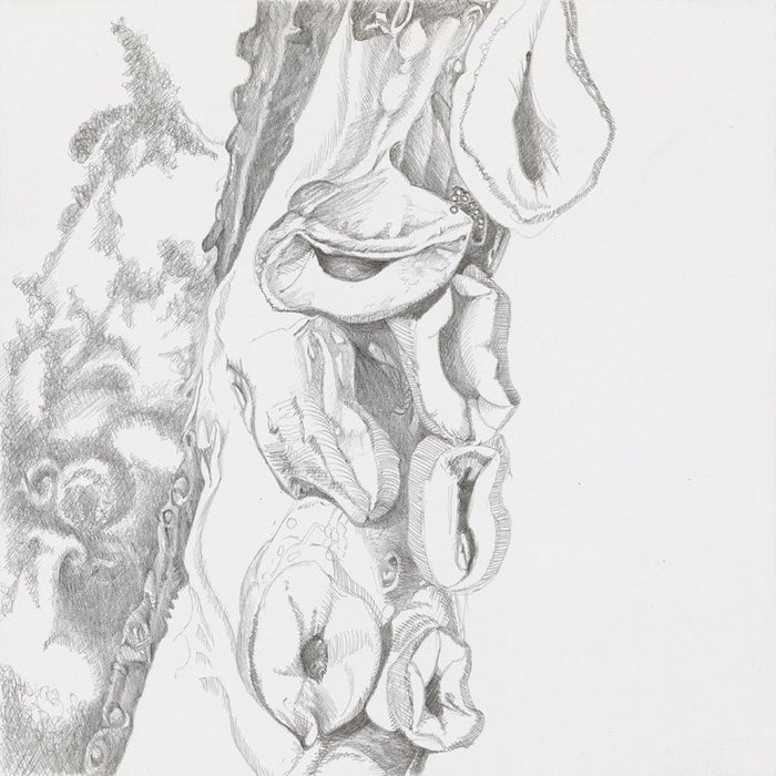 Flesh and Metal 2