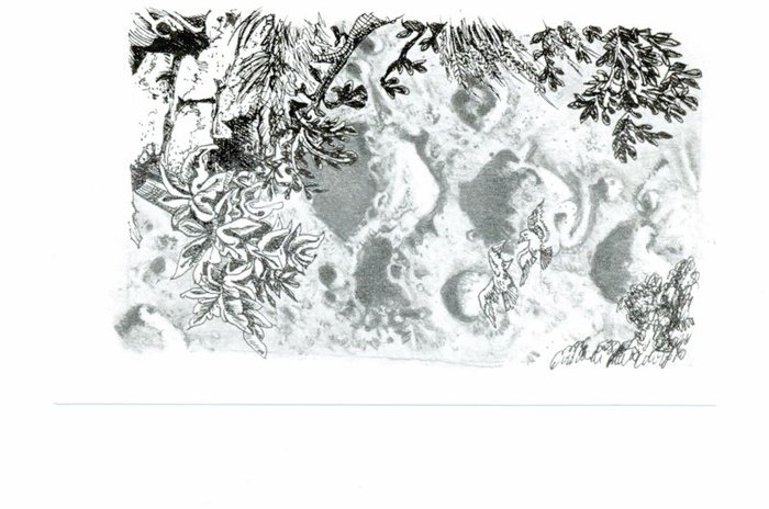 Twawl en th' MoonlIt At